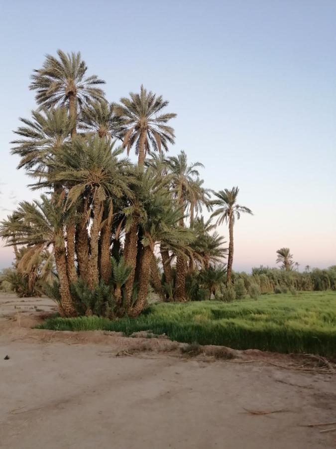 Gîte Ait lmaalam chez Ahmed Skoura Exterior foto